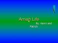Amish Life PowerPoint PPT Presentation