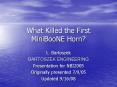 What Killed the First MiniBooNE Horn PowerPoint PPT Presentation