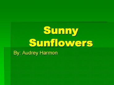 Sunny Sunflowers
