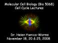 Molecular Cell Biology Bio 5068 PowerPoint PPT Presentation