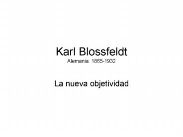 Karl Blossfeldt Alemania. 18651932