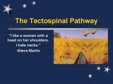 presentation player overlay