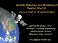 Remote Detection and Monitoring of Invasive Species: Effective Analysis of Optical Imagery PowerPoint PPT Presentation