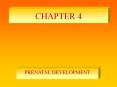 PRENATAL DEVELOPMENT PowerPoint PPT Presentation
