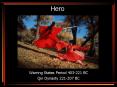 Hero PowerPoint PPT Presentation