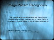 Image Pattern Recognition
