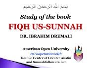 American Open University