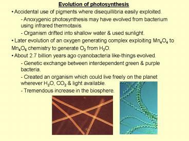 Evolution of photosynthesis