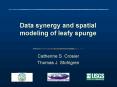 Data synergy and spatial modeling of leafy spurge PowerPoint PPT Presentation