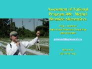 Assessment of National Program 308: Methyl Bromide Alternatives