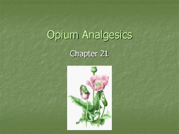 Opium Analgesics