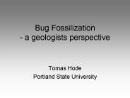 Bug Fossilization a geologists perspective