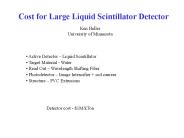Cost for Large Liquid Scintillator Detector