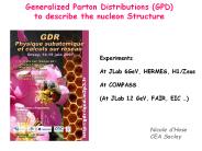 Generalized Parton Distributions (GPD)