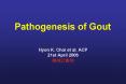 Pathogenesis of Gout PowerPoint PPT Presentation