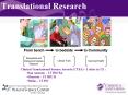 Translational Research PowerPoint PPT Presentation