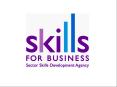 Background to Sector Skill Agreements SSAs PowerPoint PPT Presentation