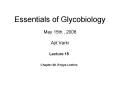Essentials of Glycobiology May 15th., 2008 Ajit Varki PowerPoint PPT Presentation