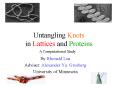 Untangling Knots in Lattices and Proteins PowerPoint PPT Presentation