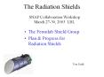 The Radiation Shields PowerPoint PPT Presentation