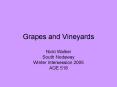 Grapes and Vineyards PowerPoint PPT Presentation