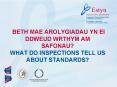 BETH MAE AROLYGIADAU YN EI DDWEUD WRTHYM AM SAFONAU WHAT DO INSPECTIONS TELL US ABOUT STANDARDS PowerPoint PPT Presentation