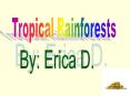 PowerPoint Presentation Tropical Rainforests PowerPoint PPT Presentation