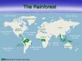 The Rainforest PowerPoint PPT Presentation