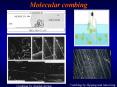 Molecular combing PowerPoint PPT Presentation