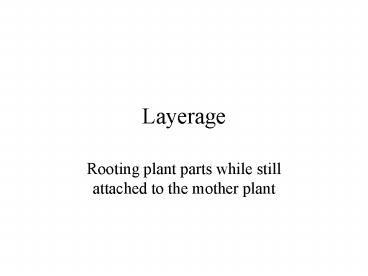 Layerage
