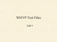 WHYP Test Files PowerPoint PPT Presentation