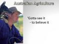 Australian Agriculture PowerPoint PPT Presentation