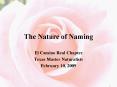 The Nature of Naming PowerPoint PPT Presentation