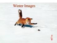 Winter Images