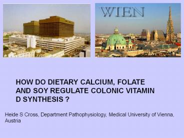 How Do Dietary Calcium, Folate and Soy Regulate Colonic Vitamin D Synthesis?