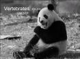 Vertebrates, Ch 34, U311PP PowerPoint PPT Presentation