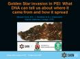 Golden Star invasion in PEI: What DNA can tell us about where it came from and how it spread PowerPoint PPT Presentation