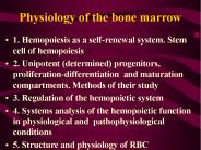 Physiology of the bone marrow