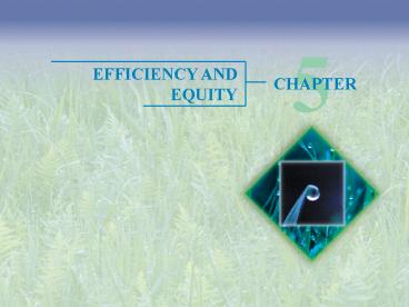 EFFICIENCY AND EQUITY