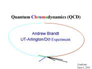 Quantum Chromodynamics (QCD)