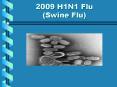 2009 H1N1 Flu Swine Flu PowerPoint PPT Presentation