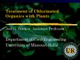 Treatment of Chlorinated Organics with Plants PowerPoint PPT Presentation