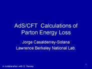 AdSCFT Calculations of Parton Energy Loss