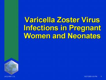 Varicella Zoster Virus Infections in Pregnant Women and Neonates