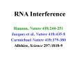 RNA Interference PowerPoint PPT Presentation