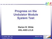 Progress on the Undulator Module System Test