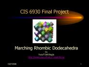CIS 6930 Final Project