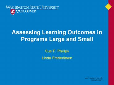 Assessing Learning Outcomes in Programs Large and Small