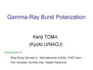 GammaRay Burst Polarization