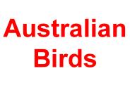 Australian Birds